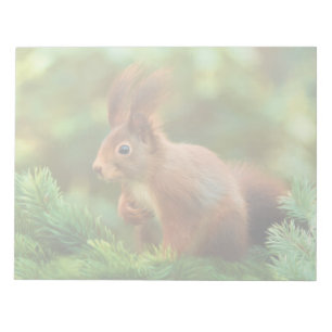 Bloc-note Écureuil sur un arbre