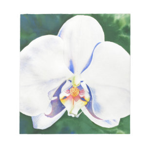Bloc-note Elégante peinture d'orchidée blanche