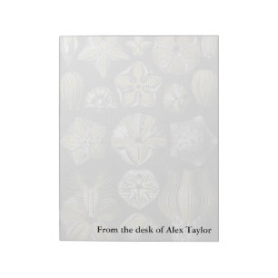 Bloc-note Ernst Haeckel Blastoidea