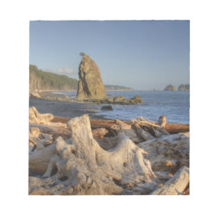 Bloc-note États-Unis, Washington, Parc National Olympique, 