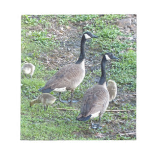 Bloc-note Famille canadienne d'oies