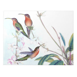 Bloc-note Faune florale de fleur d'oiseaux de colibri