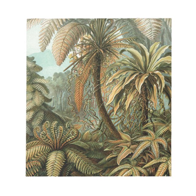 Bloc-note Ferns Palm Tree Antiquité Botanique Ferns Art (Devant)