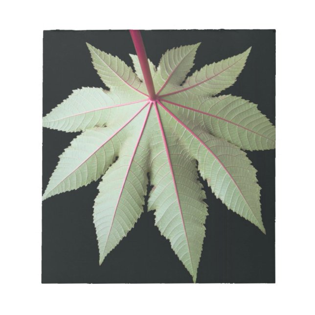 Bloc-note Feuille et tige (Devant)