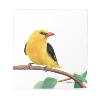 Bloc-note Finch Or