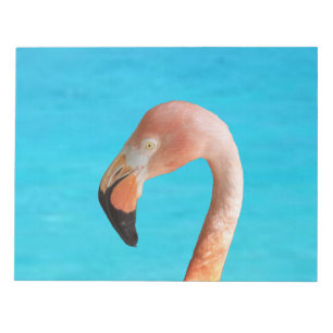 Bloc-note Flamingo rose face à l'eau bleue sur