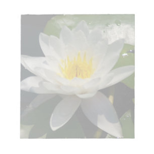 Bloc-note Fleur blanche de lotus