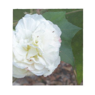 Bloc-note fleur blanche d'hibiscus mutabilis