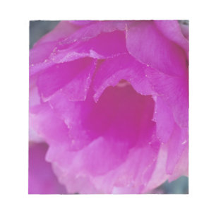 Bloc-note Fleur de Cactus Hérisson Rose (Echinocereus