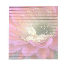 Fleur de cactus rose dans le désert