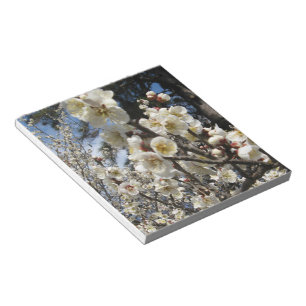 Bloc-note Fleur de cerisier blanc / Sakura / ク(桜)
