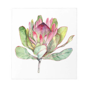 Bloc-note Fleur de Protea