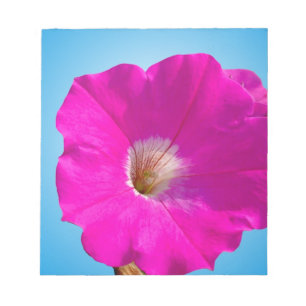 Bloc-note fleur pétunia rose en arrière - plan bleu.
