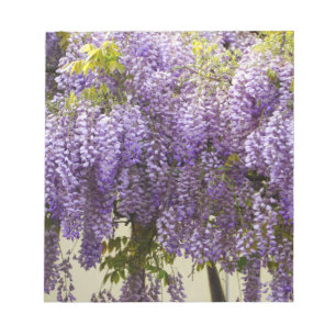 Bloc-note Fleurs de bisteria violet