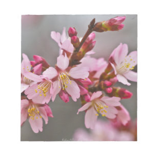 Bloc-note Fleurs de cerisier japonaises roses sur un ciel gr