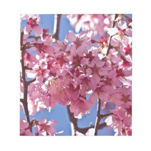 Bloc-note Fleurs de cerisier Sakura Étoiles rouges