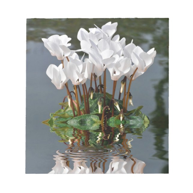 Bloc-note Fleurs de cyclamen blanc dans l'eau (Devant)