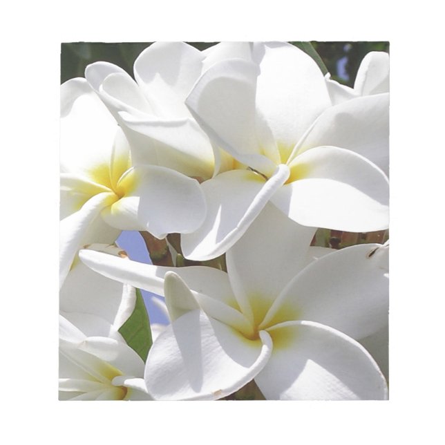 Bloc-note Fleurs de la Plumeria tropicale (Devant)