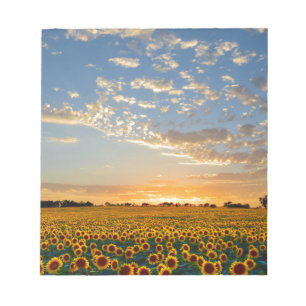 Bloc-note Fleurs de soleil au coucher du soleil