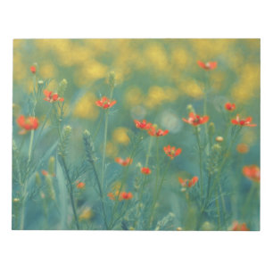 Bloc-note Fleurs d'été (champ floral) (Fleurs rouges)