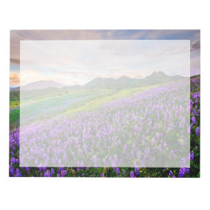 Bloc-note Fleurs Fleurs sauvages de Californie