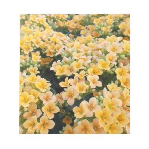 Bloc-note Fleurs Jaunes