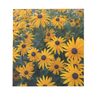 Bloc-note Fleurs jaunes de marguerite de jardin.