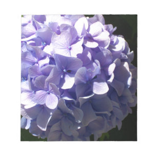 Bloc-note Fleurs violettes hydrageas violets fleuris pourpre