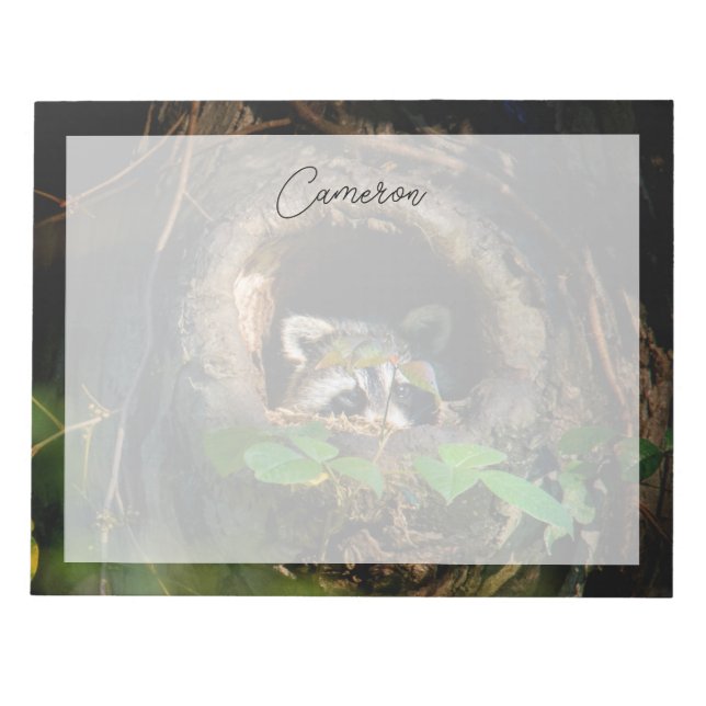Bloc-note Forêt | Raccoon Peeking (Devant)