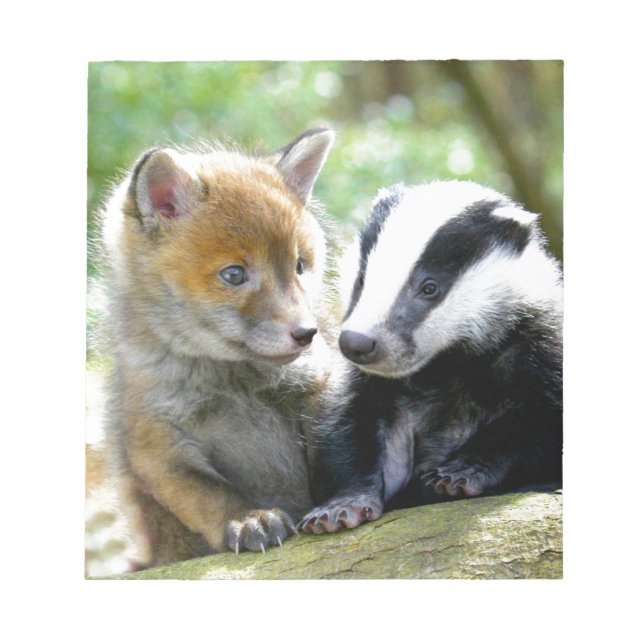Bloc-note Foxcub & Badger Cute ! (Devant)