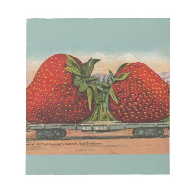 Bloc-note Fraises Géant Antique Fruit Amusement (Devant)