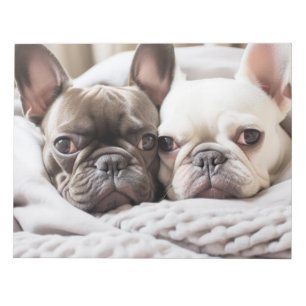 Bloc-note Français Bulldog Animal animal animal beauté chaud