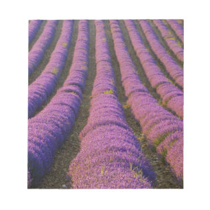 Bloc-note France, région Provence. Rangées ordonnées de