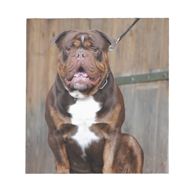 Bloc-note French Mastiff (Devant)