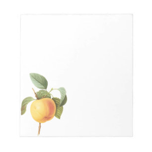 Bloc-note Fruit Alimentaire Ancien, Pomme Calville par Redou