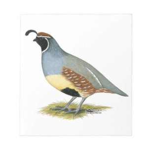 Bloc-note Gambel's Desert Quail