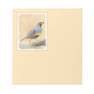 Bloc-note Gambrel's Quail Painting Original Bird Art