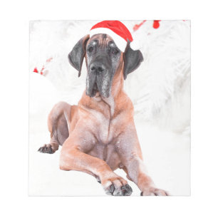 Bloc-note Grand chien Danse Casquette Joyeux Noël