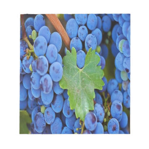 Bloc-note Grapes on a Vine