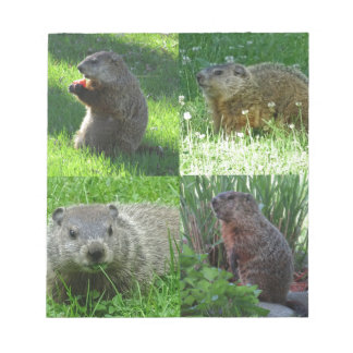 Bloc-note Groundhog Medley