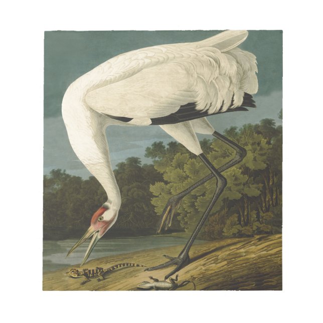 Bloc-note Grue blanche Audubon Peinture d'oiseaux (Devant)