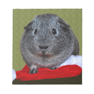 Bloc-note Guinea Pig Christmas