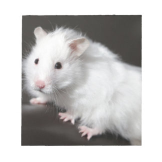 Bloc-note Hamster de l'ours en peluche