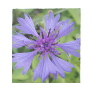 Bloc-note Hübsche blaue Kornblume