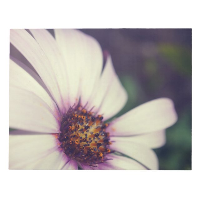 Bloc-note Impression de marguerite. (Devant)