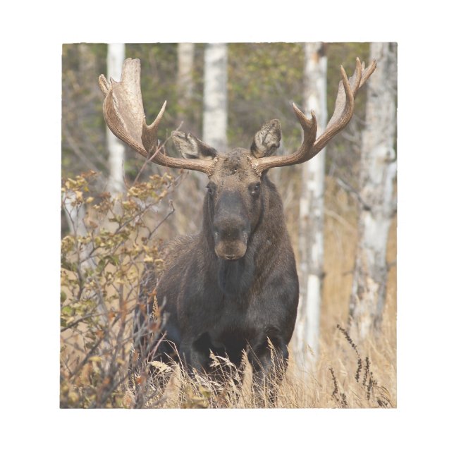 Bloc-note Impressionnant orignal (Devant)