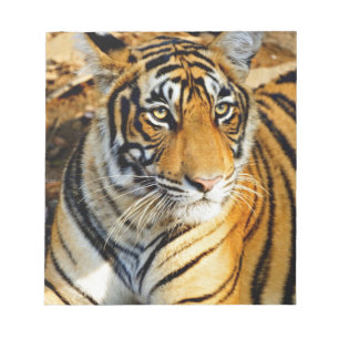Bloc-note Inde, Sawai Madhopur, Ranthambore National