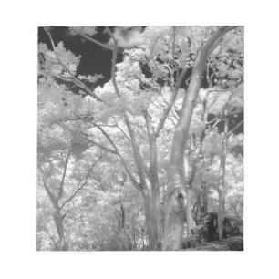 Bloc-note Infrarouge d'arbres bâtiments et sentiers à Las 2