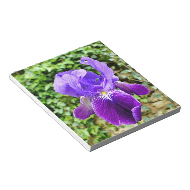Bloc-note Iris à poils (Incliné)