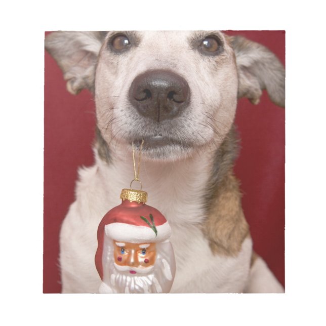 Bloc-note Jack Russell Terrier Holding Ornament de Noël (Devant)